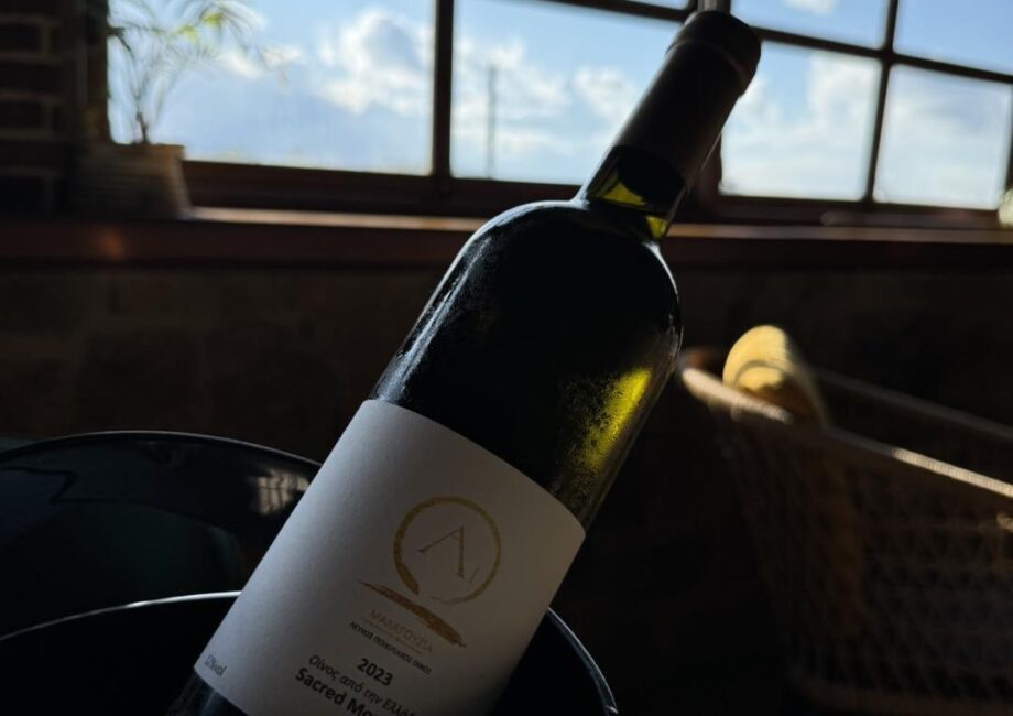 459874820_1035565078579811_8916998501368323592_n